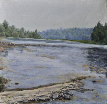 Репинская Двина Репинская Двина