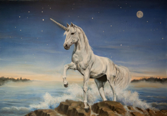 Unicorn Unicorn