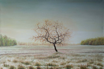 A lonely tree Lonely tree