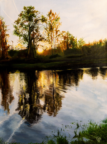 The river Vitba The river Vitba