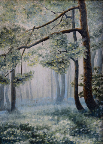 Утро в парке Morning