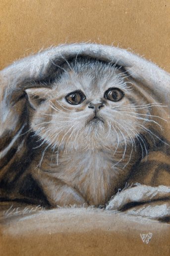 kitty